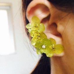 小繡球花耳骨夾＆耳夾式耳環or耳針耳環2個組 綠 第1張的照片