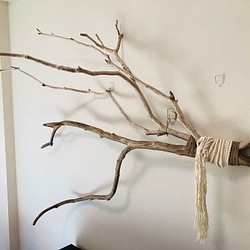 Branch Wood  Wall Decoration 枝流木ハンギングインテリア　ウォールデコ 1枚目の画像