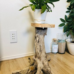 木根の流木のフラワースタンド　花台　花瓶置き 1枚目の画像