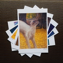 ポストカード 猫の絵５枚セット【Ｆ】 1枚目の画像