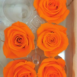 １輪　約４ｃｍ　おすそ分け　オレンジ　バラ・薔薇 　花材　プリザーブドフラワー　 1枚目の画像