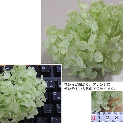 おすそ分け 約２ｇ ソフトアナベル レッド 赤 紫陽花 あじさい プリザーブドフラワー その他素材 Andalasia アンダレーシア 通販 Creema クリーマ ハンドメイド 手作り クラフト作品の販売サイト