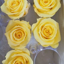 １輪　約４ｃｍ　おすそ分け　パステル　イエロー　黄色　バラ・薔薇 　花材　プリザーブドフラワー　 1枚目の画像