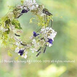 「ぶどう畑のコンチェルト」自然素材リースN96 1枚目の画像