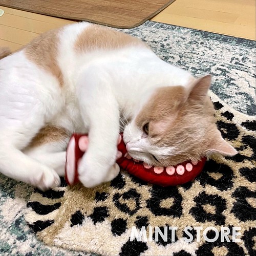 大好き タコ足キッカー 猫用 おもちゃ ペット小物 Mint Store 通販 Creema クリーマ ハンドメイド 手作り クラフト作品の販売サイト