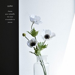 咲き続けるアネモネ(３輪＋蕾)メディシンボトル　マジカルウォーター　癒しのフラワーインテリア　アーティフィシャルフラワー 1枚目の画像