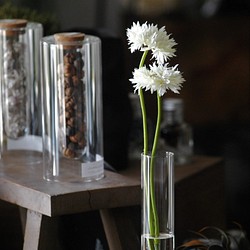 咲き続けるホワイトガーベラ　癒しのフラワーインテリア 1枚目の画像