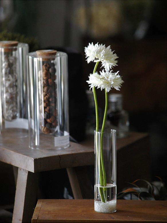 咲き続けるホワイトガーベラ　癒しのフラワーインテリア 1枚目の画像
