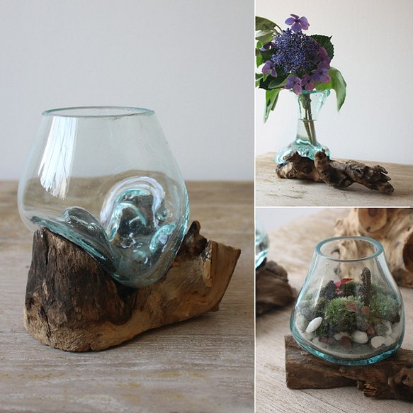 ●SALE●anvaiセレクト流木とBALIガラスのオブジェ花瓶アクアリウムS59G 1枚目の画像