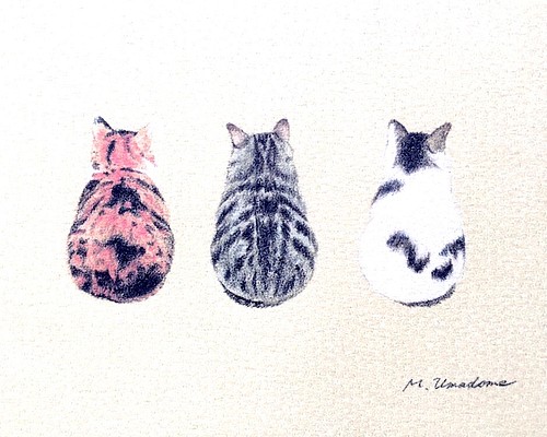 [3匹の猫] パステル画のイラスト 和風の猫
