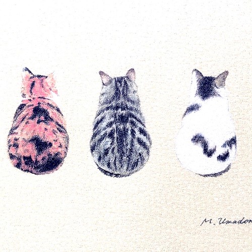 3匹の猫 パステル画のイラスト 和風の猫 絵画 ウマドメ マサキ 通販 Creema クリーマ ハンドメイド 手作り クラフト作品の販売サイト