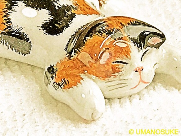 訂購貓胸針“Gouden Meyer先生”Mikari貓 第1張的照片