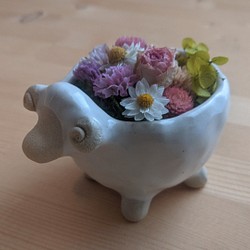 お花のもりひつじ (子 メリノ 植木鉢) 1枚目の画像