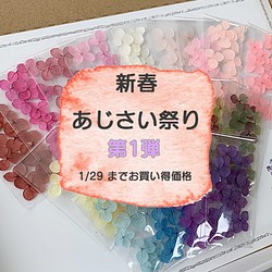 希少な「アナベル 小さな花びら」新春セールです　1/29まで　20枚入アナベル全17色から 選べる3点１０００円 1枚目の画像