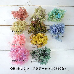 ピラミッドあじさい こわけ グラデーション スフレ系 Oh あじさい プリザーブドフラワー 紫陽花 アジサイ その他素材 あじさいや 通販 Creema クリーマ ハンドメイド 手作り クラフト作品の販売サイト