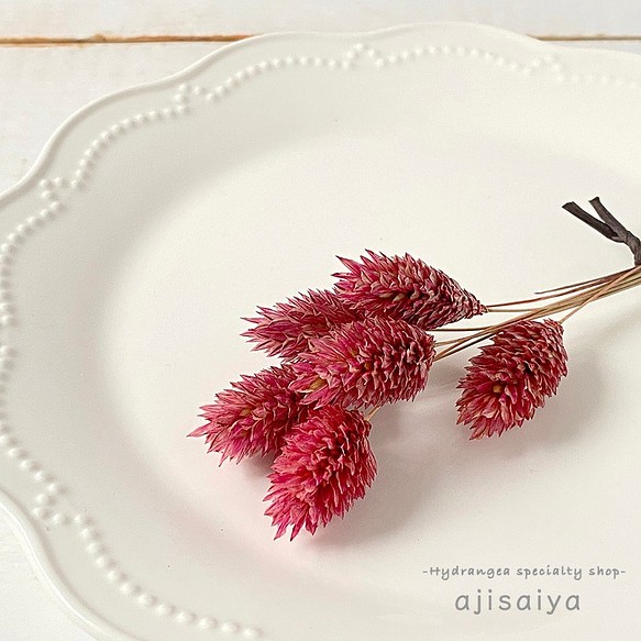 春のパステル花材　クラシックピンク　＜ポアプランツ＞　カラードライフラワー 1枚目の画像
