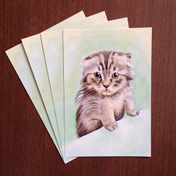 ポストカード　マンチカンの子猫「遊ぼうよ」 カラー　同柄4枚 1枚目の画像
