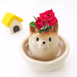 Shibawan Hanatate，大尺寸清晰的柴犬的花瓶 第1張的照片