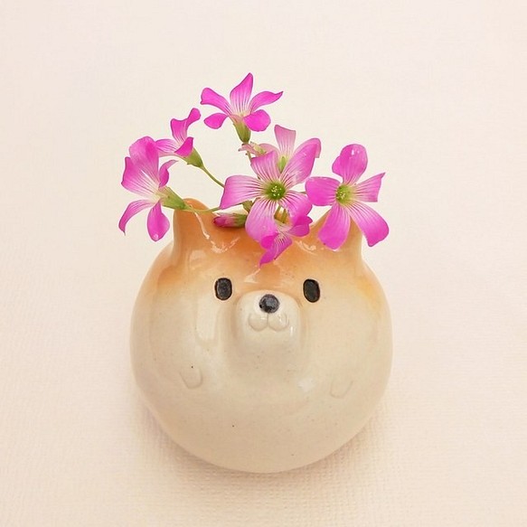 Shiba Inu 單一花瓶 Shiba 球和花 第1張的照片
