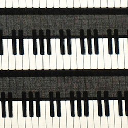 ★USAコットン★鍵盤柄★　布地　生地　KANVAS STUDIO　鍵盤　鍵盤柄　ピアノ　ピアノ柄 1枚目の画像