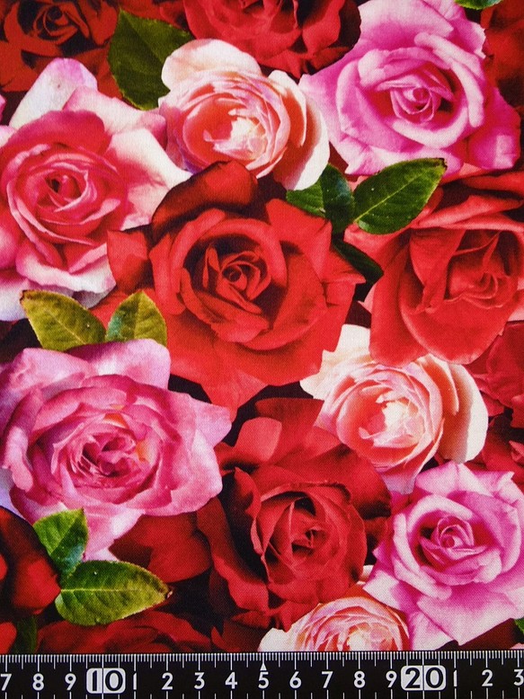 ★USAコットン★赤やピンクのバラ柄★ 1枚目の画像