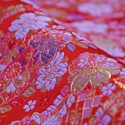 富士晶格紅色織錦織物櫻花（6795-EA5-2） 第1張的照片