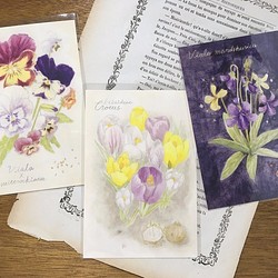 植物図鑑のポストカード　3種類セット 1枚目の画像