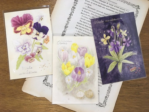 植物図鑑のポストカード　3種類セット 1枚目の画像