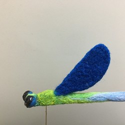豆娘羊毛氈 可愛擺飾 珈蟌 蜻蛉 第1張的照片