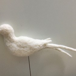 小鳥模型 羊毛氈 擺飾 第1張的照片