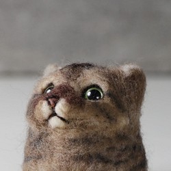 虎斑咖啡 貓丸【feiwa霏娃手作】微客製貓咪 寵物公仔 (歡迎訂做你的貓) 第1張的照片