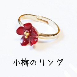 Koume 戒指全 3 種顏色 第1張的照片