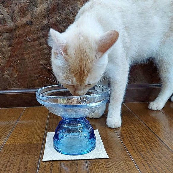 Re:GLASS.猫ごはん　猫　フードボウル　LOWタイプ　ブルー　猫用食器　ガラス製　再生ガラス　CAT-002-C