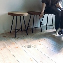 peewee stool / スツール 1枚目の画像