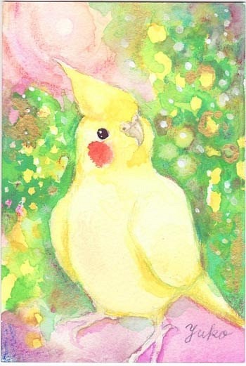 うちの子インコのイラスト（原画 鳥 インコ オリジナル 水彩画