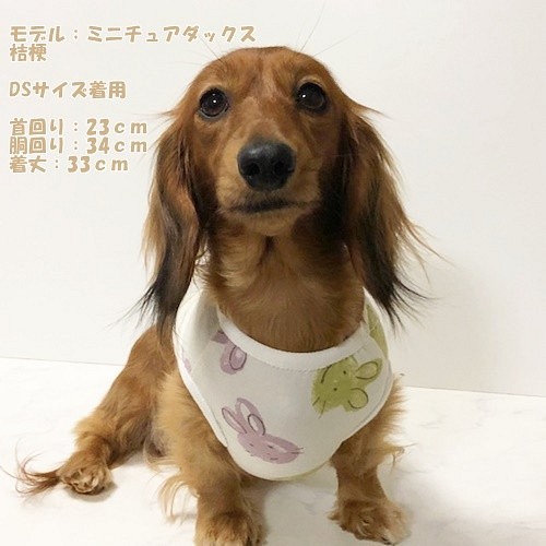 タンクトップ うさぎ柄 ピスタチオ Dog 犬服 ドッグウェア 春秋 ウサギ 兎 ペット服 アクセサリー Dog House Radish 通販 Creema クリーマ ハンドメイド 手作り クラフト作品の販売サイト