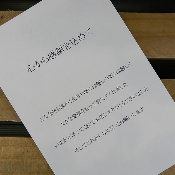 超爆安 両親への感謝状 フルールフラワーダブルフォトボックス贈呈品結婚式両親プレゼントウェディング 花 木の実 枝葉 果実 Ancrixsoftwares Com