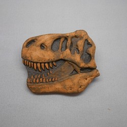 恐竜ブローチ　T-rex（モデル：スコッティ） 1枚目の画像
