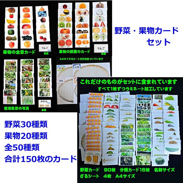 果物カードセット 野菜 きのこ カードセット 全50種類 生活科に 理科に 小学校受験に おもちゃ 人形 ｃ ｔ数とことばの教材の手作り工房 通販 Creema クリーマ ハンドメイド 手作り クラフト作品の販売サイト