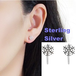 [純銀SV925耳環]流行純銀無痛無孔耳環耳環雪雪樹脂耳環 第1張的照片