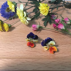 《小花三色堇》立體真花珠寶 純銀耳針 限量 （30個品種訂製） 第1張的照片