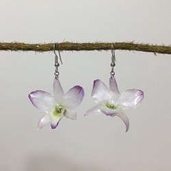 《水晶蘭花2》立體真花製作垂墜耳環 第1張的照片
