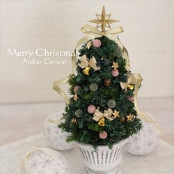 【Creema限定】＜再販×8＞プリザーブドのクリスマスツリー＜Sサイズ＞ピンク 1枚目の画像