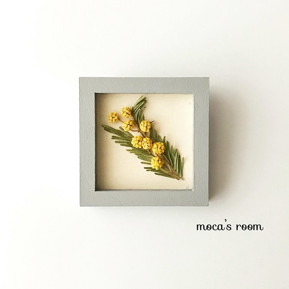 植物標本のブローチ 《mimosa》 グレーフレーム 1枚目の画像