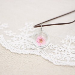 《時の宝石》日本乾燥花項鍊x水仙花x櫻花 時光寶石 婚禮小物 乾花 第1張的照片