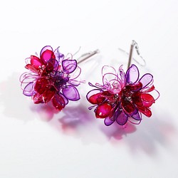 Hanakin花金 花球 透明系紫紅 手作飾品耳環 （一對） 第1張的照片