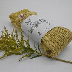桔黃色黃色滿月染廠染色腿溫暖棉和絲綢 第1張的照片