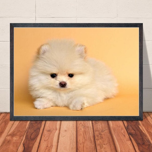 送料無料 サイズポスター ポメラニアン 犬 ペット かわいい イラスト Gaw01 通販 Creema クリーマ ハンドメイド 手作り クラフト作品の販売サイト