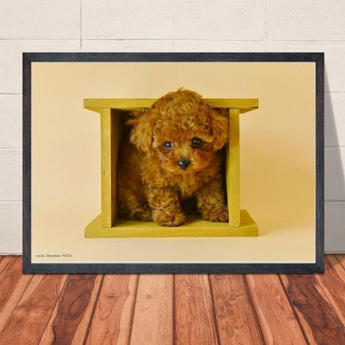 送料無料 サイズポスター トイプードル 犬 ペット かわいい イラスト Gaw01 通販 Creema クリーマ ハンドメイド 手作り クラフト作品の販売サイト