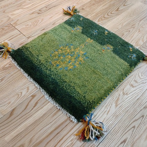 目玉品】ペルシャ絨毯 ギャッベ ミニマット 40×39 緑 生命の木 